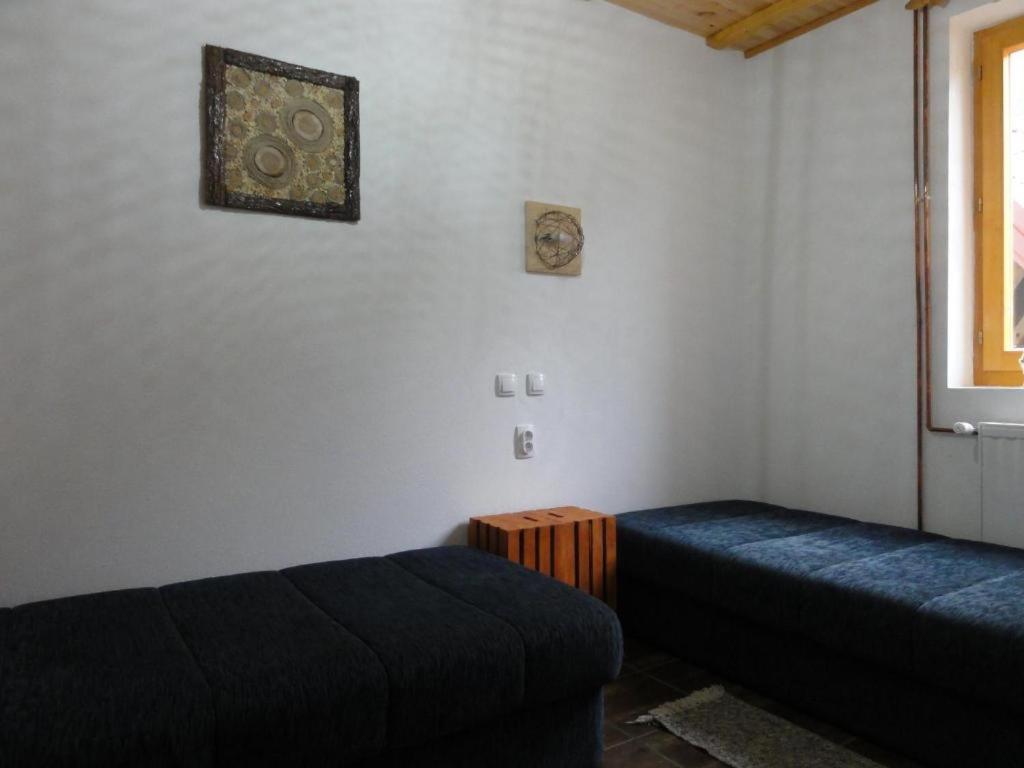 Staroplaninski Apartments Crni Vrh Luaran gambar