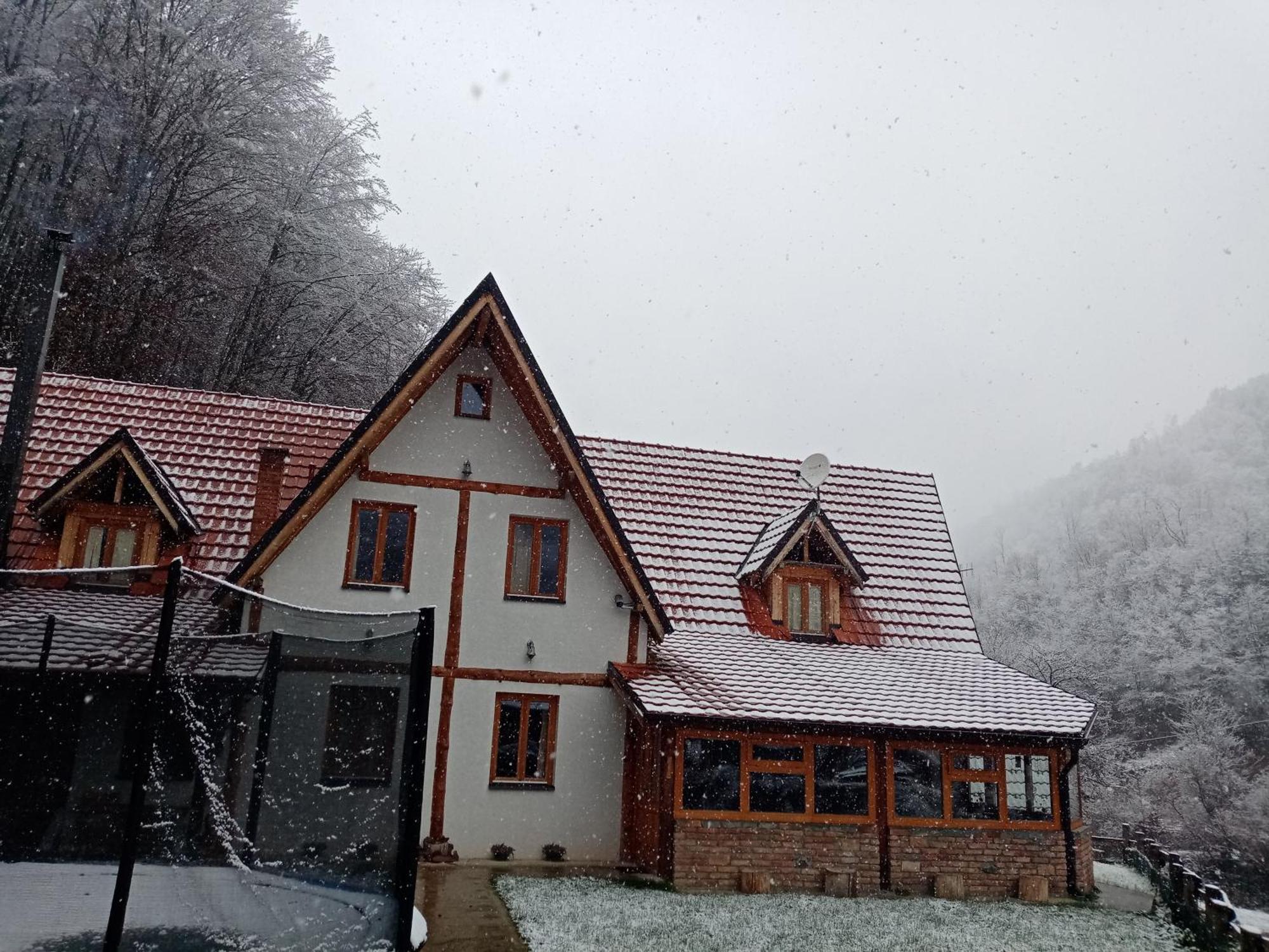 Staroplaninski Apartments Crni Vrh Luaran gambar